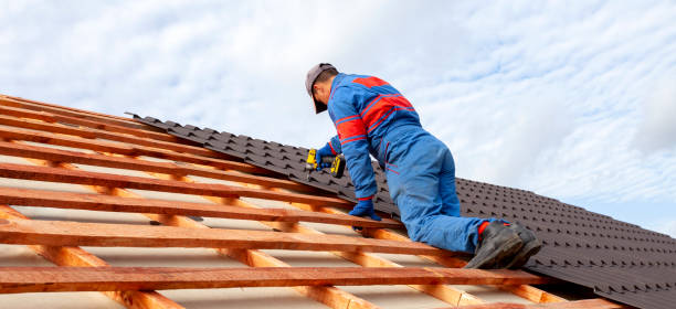 Best Siding  in Fredericksburg, VA